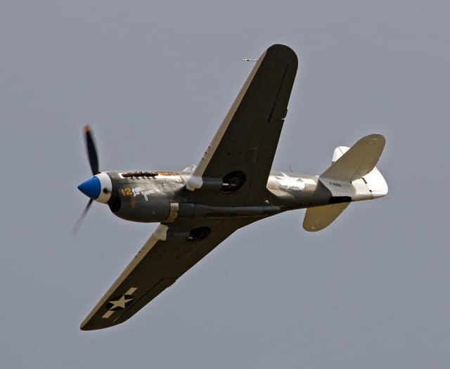  - Warbird
