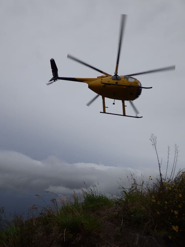 N809WA - Helicopter