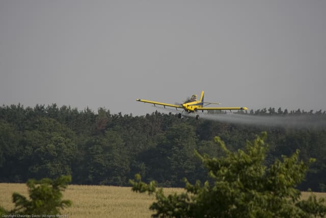 N1531G - Aircraft