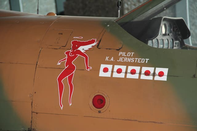  - Warbird