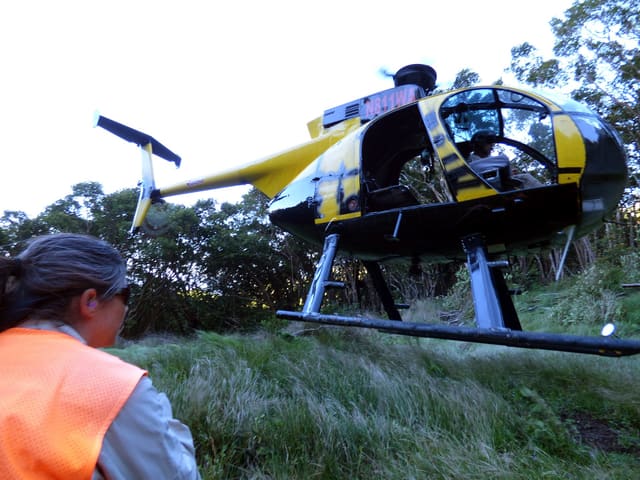 N811WA - Helicopter