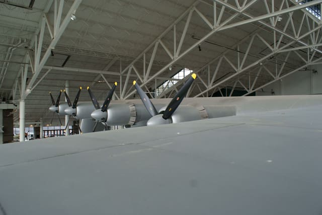  - Warbird