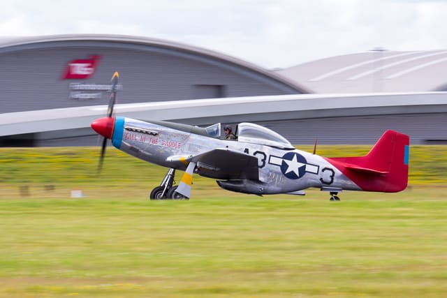  - Warbird