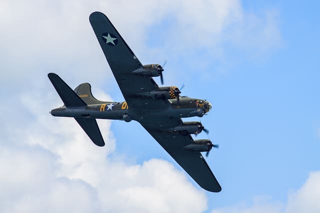  - Warbird