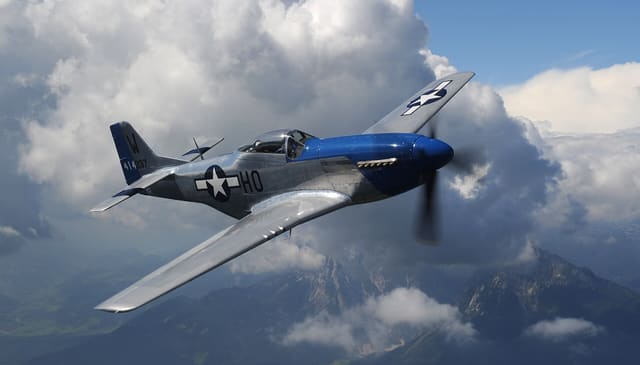  - Warbird
