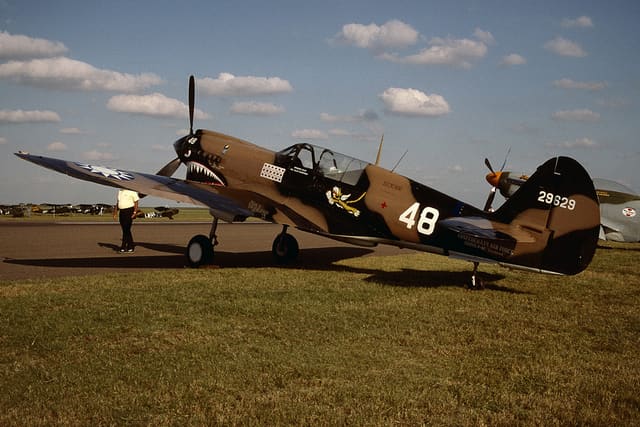 N1226N - Warbird