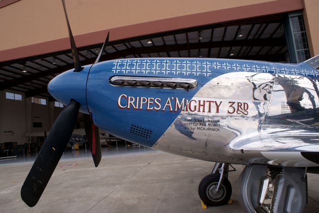  - Warbird