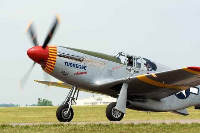  - Warbird