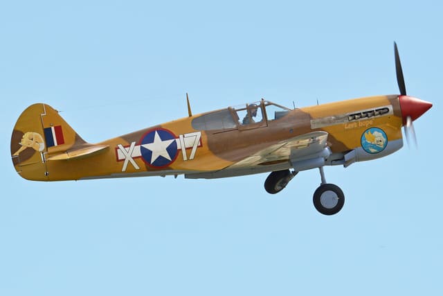  - Warbird