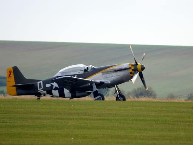 N251RJ - Warbird
