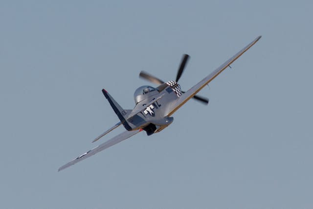  - Warbird