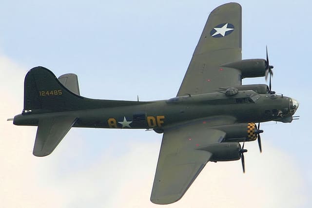  - Warbird