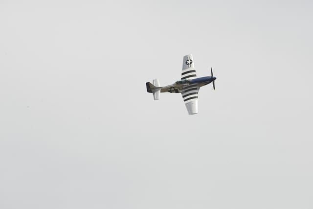  - Warbird