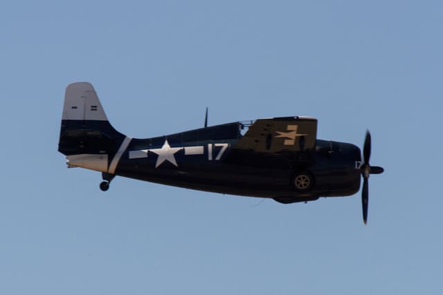  - Warbird