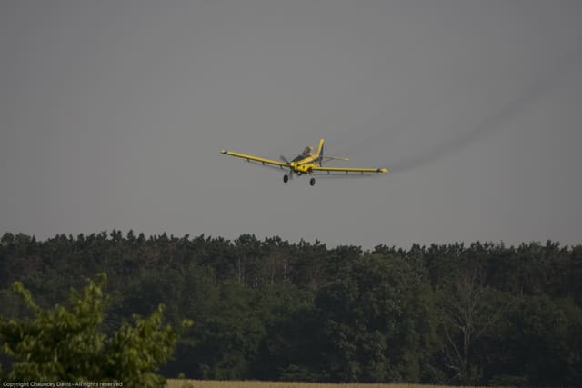 N1531G - Single-engine aircraft