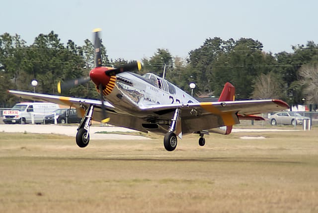  - Warbird