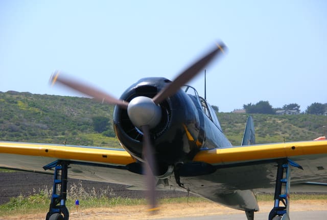  - Warbird