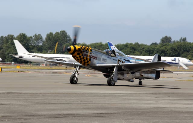  - Warbird