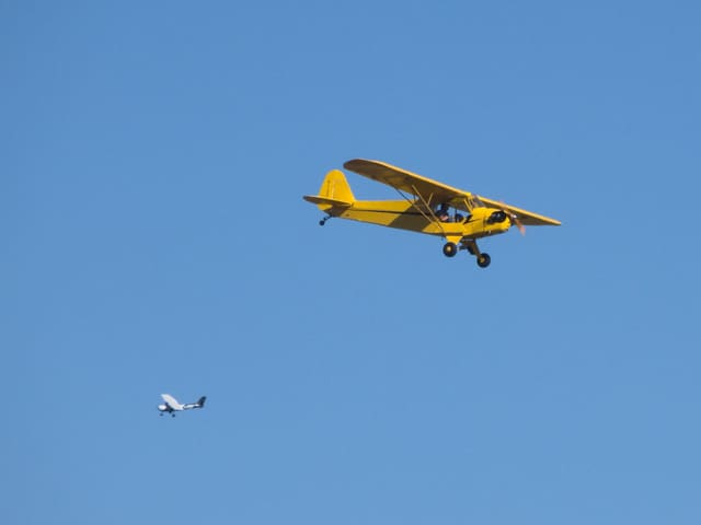 N10557 - Piper