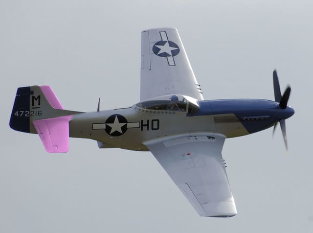 - Warbird