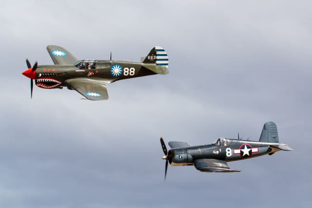  - Warbird