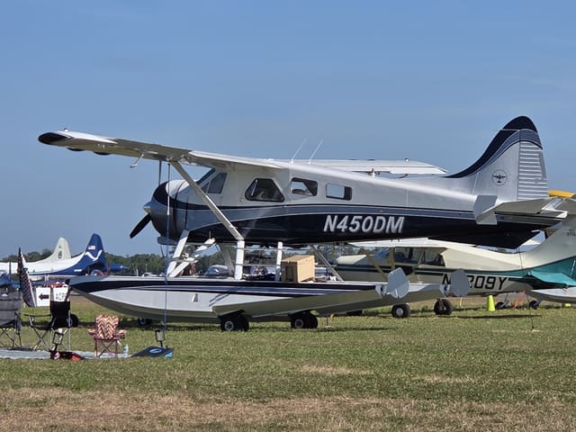 N450DM - De Havilland DHC-2