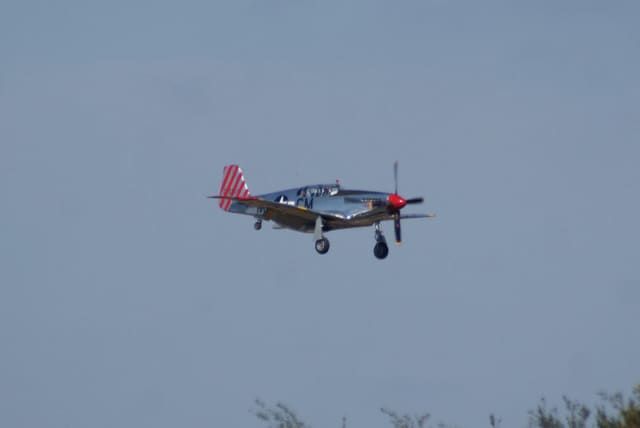 N251MX - Warbird