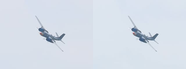  - Warbird