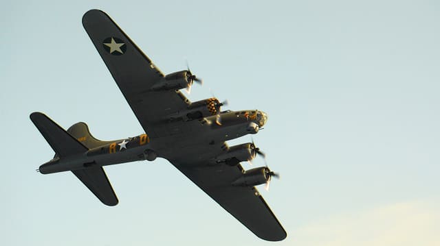  - Warbird