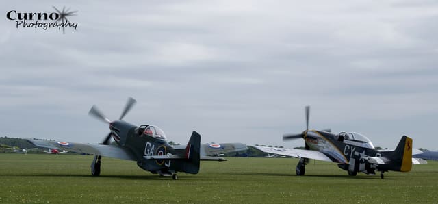 N251RJ - Warbird