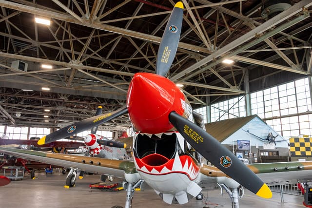 N1232N - Warbird