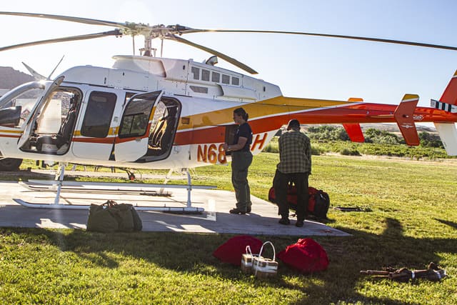 N684H - Helicopter