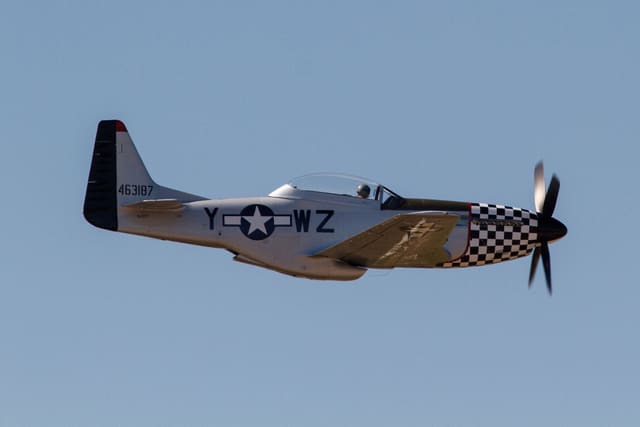  - Warbird