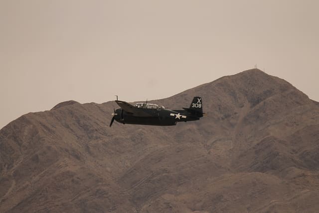  - Warbird