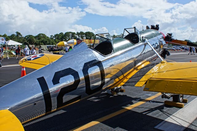  - Warbird