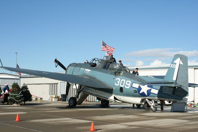 N53503 — Warbird