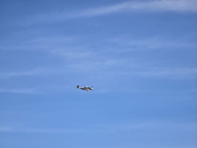  — Warbird