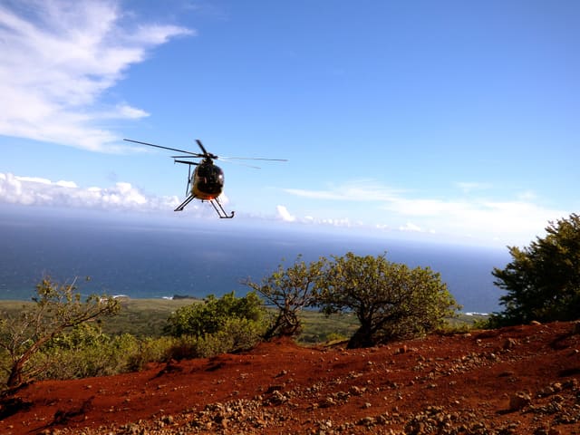 N58251 - Helicopter