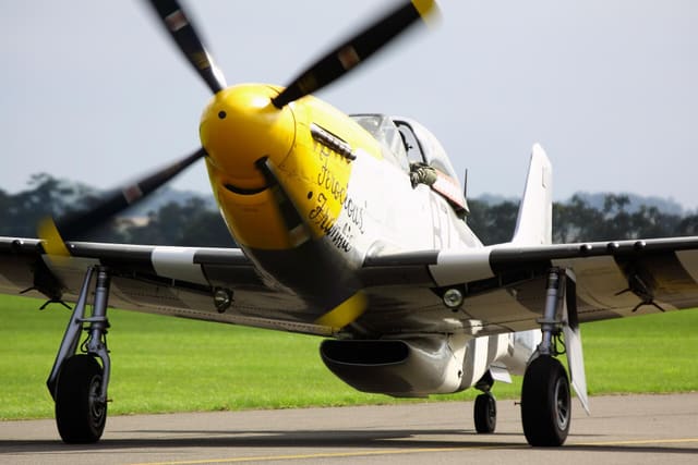  - Warbird