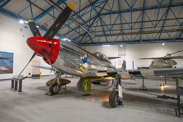  - Warbird