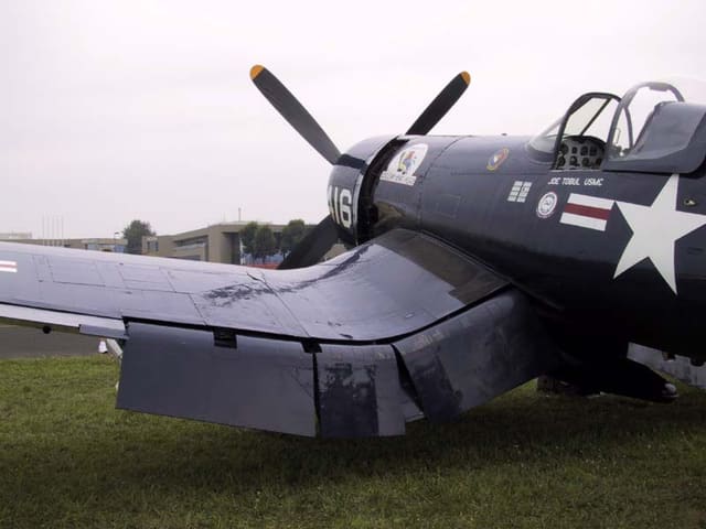  - Warbird