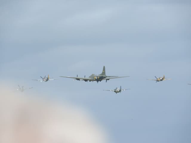  - Warbird