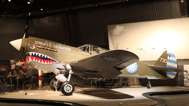  - Warbird