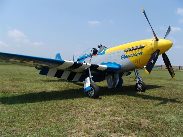  - Warbird