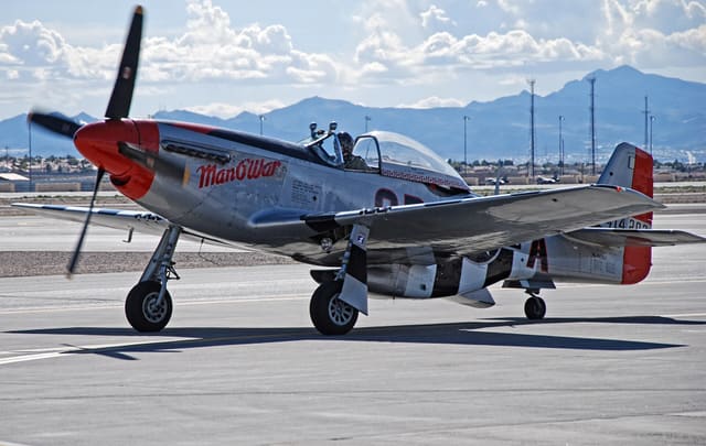  - Warbird
