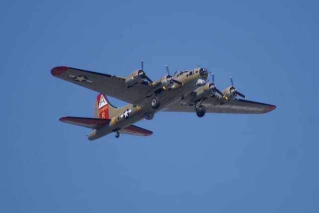  - Warbird