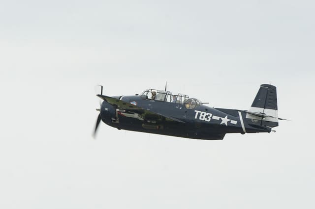 N81865 - Warbird