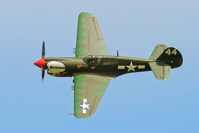 - Warbird