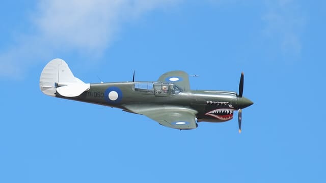  - Warbird