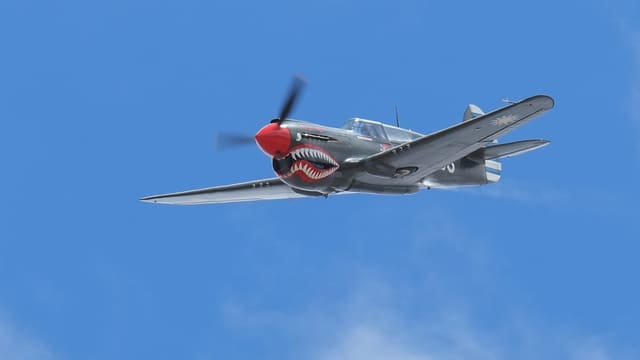  - Warbird
